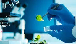 Biotech