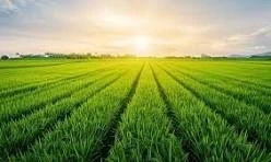 Agriculture